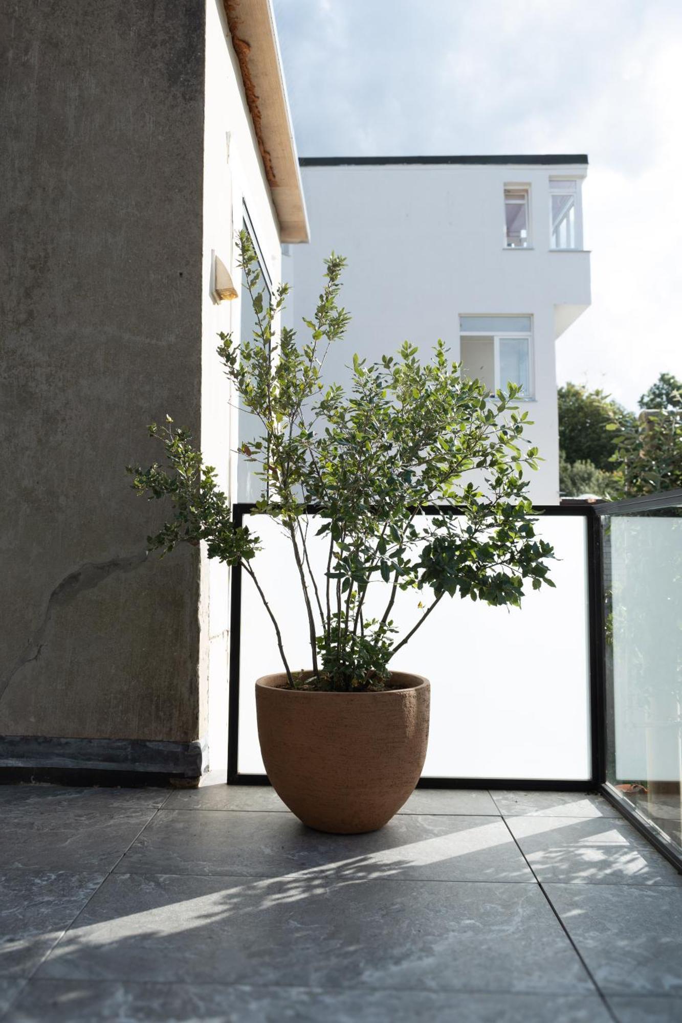 Huis Agnes Oostende Ngoại thất bức ảnh